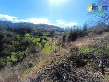 Terreno para Venda em Sertã