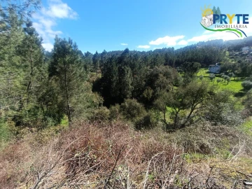 Terreno para Venda em Sertã