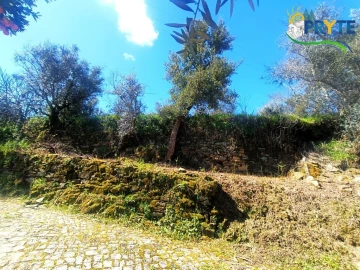 Terreno para Venda em Sertã