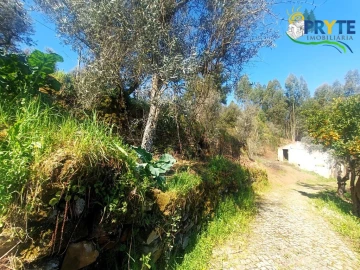 Terreno para Venda em Sertã