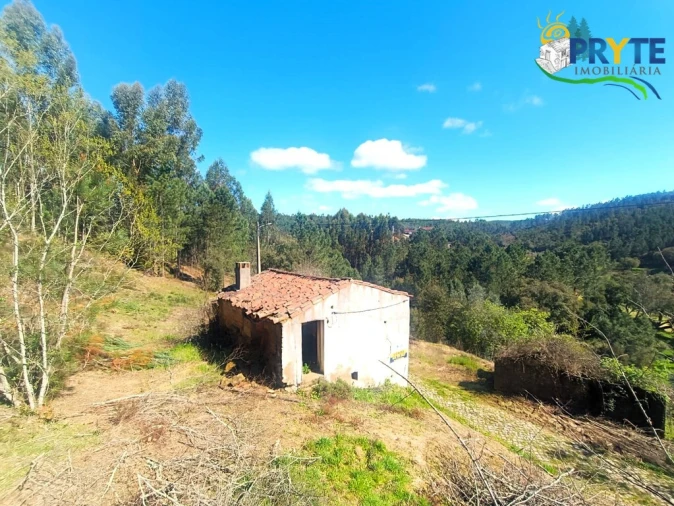Terreno para Venda em Sertã Foto 6