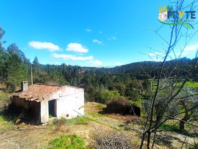 Terreno para Venda em Sertã Foto 7