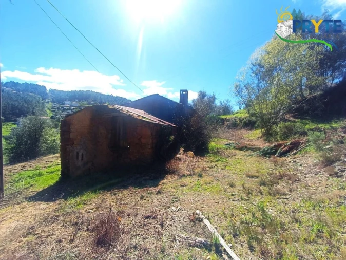 Terreno para Venda em Sertã Foto 9