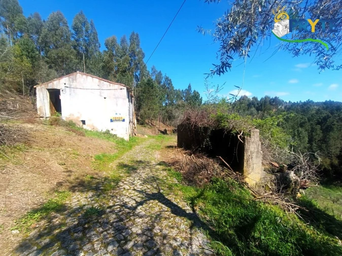 Terreno para Venda em Sertã Foto 10