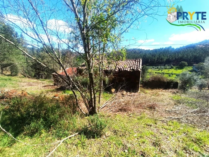 Terreno para Venda em Sertã Foto 17