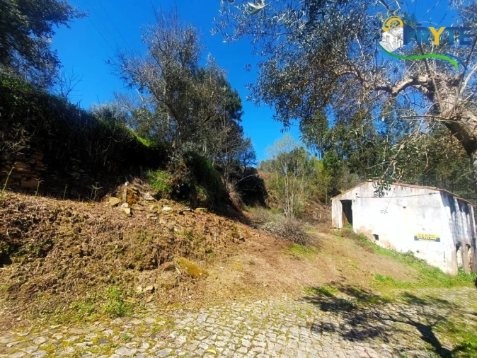 Terreno para Venda em Sertã Foto 20