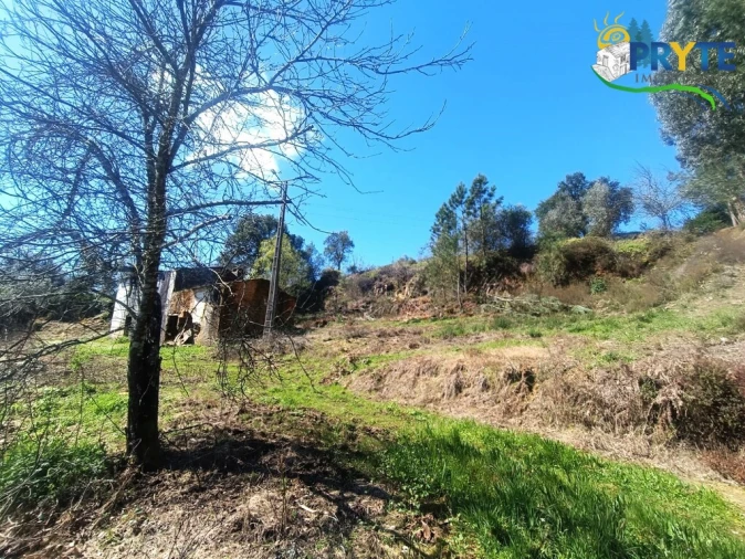 Terreno para Venda em Sertã Foto 21