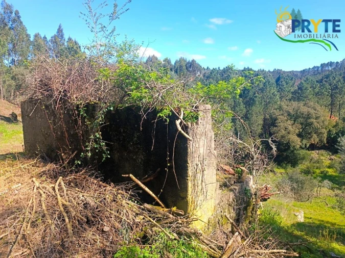 Terreno para Venda em Sertã Foto 25