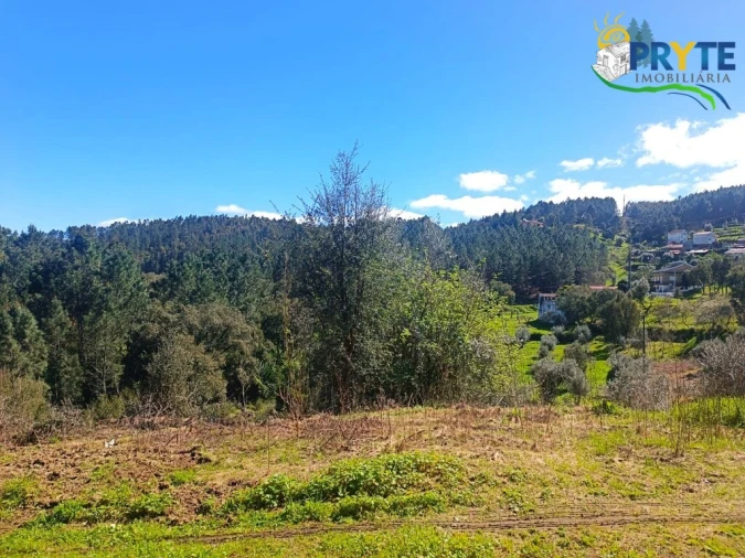 Terreno para Venda em Sertã Foto 26