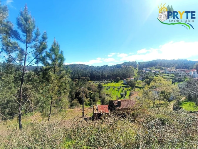 Terreno para Venda em Sertã Foto 31