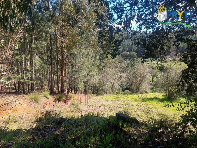 Terreno para Venda em Sertã Foto 37