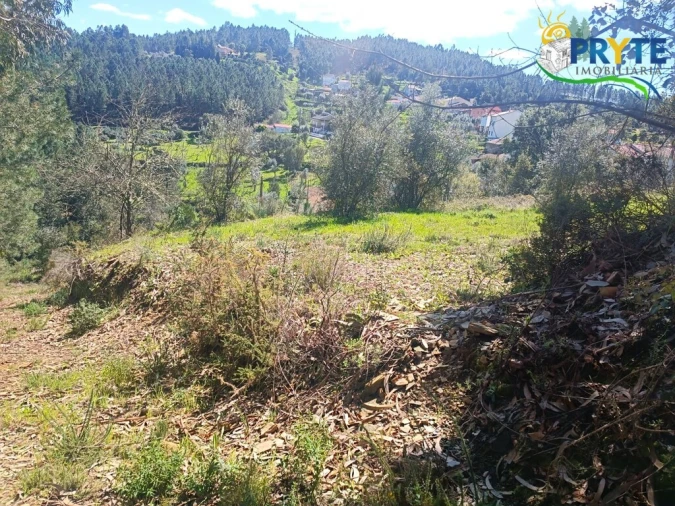 Terreno para Venda em Sertã Foto 40