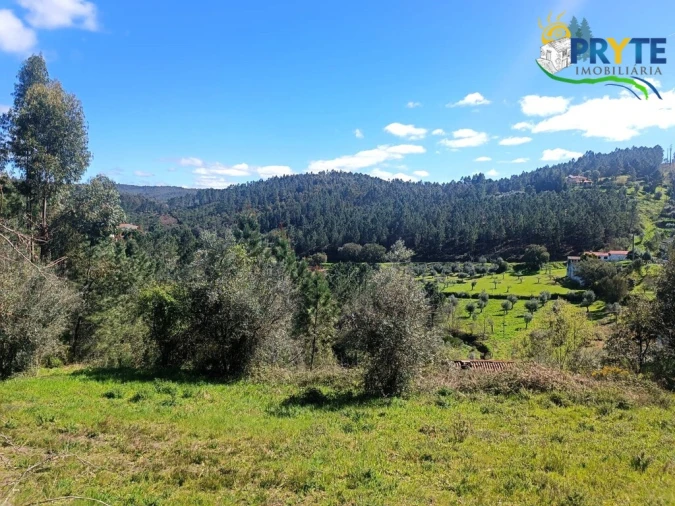 Terreno para Venda em Sertã Foto 43