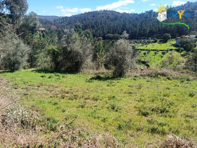 Terreno para Venda em Sertã Foto 47