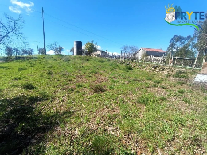 Terreno para Venda em Sertã Foto 49