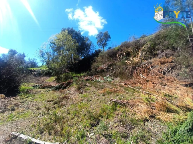 Terreno para Venda em Sertã Foto 52