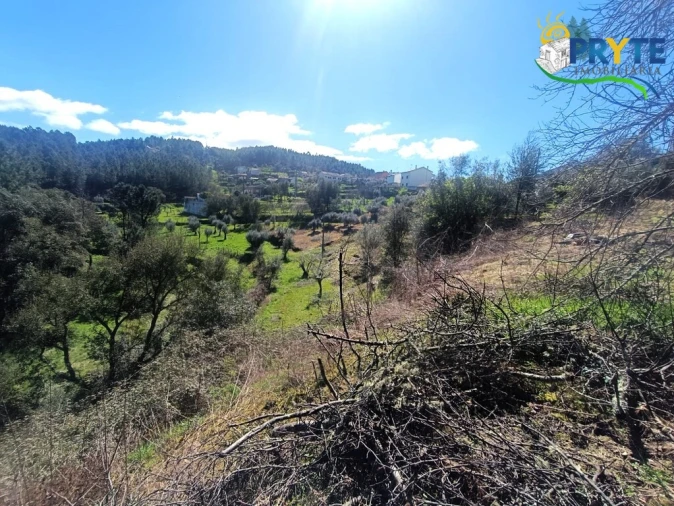 Terreno para Venda em Sertã Foto 53