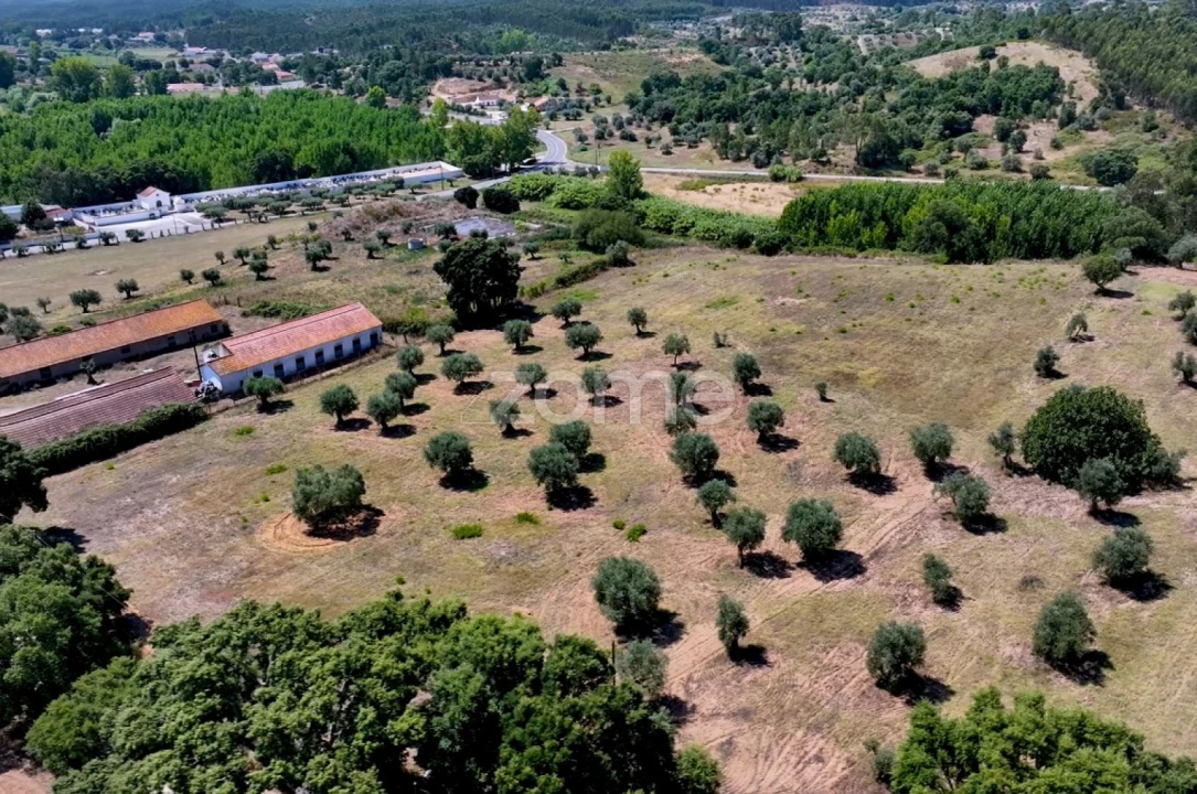 Terreno para Venda em Fraguas Foto 15