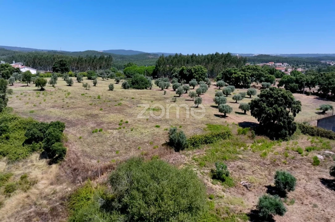 Terreno para Venda em Fraguas Foto 10