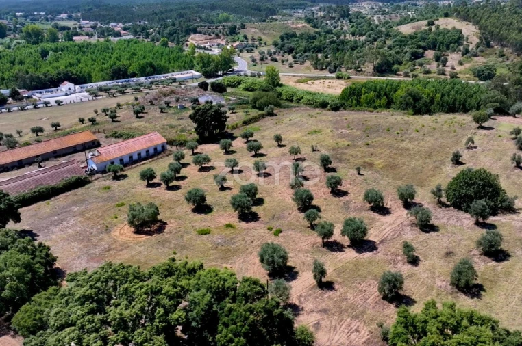 Terreno para Venda em Fraguas Foto 15