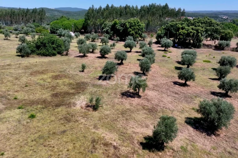 Terreno para Venda em Fraguas Foto 13