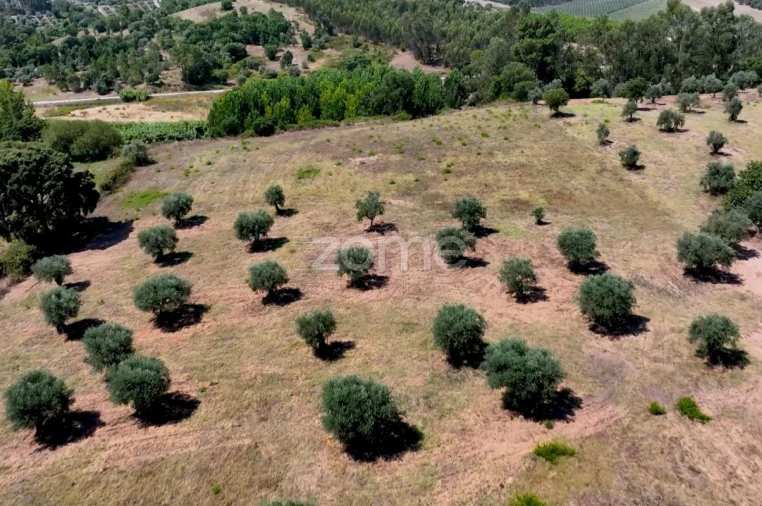 Terreno para Venda em Fraguas Foto 14