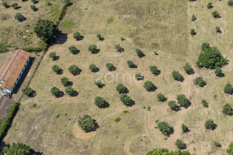 Terreno para Venda em Fraguas Foto 2