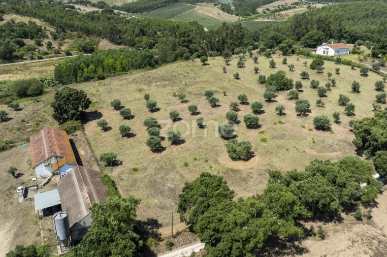 Terreno para Venda em Fraguas Foto 7