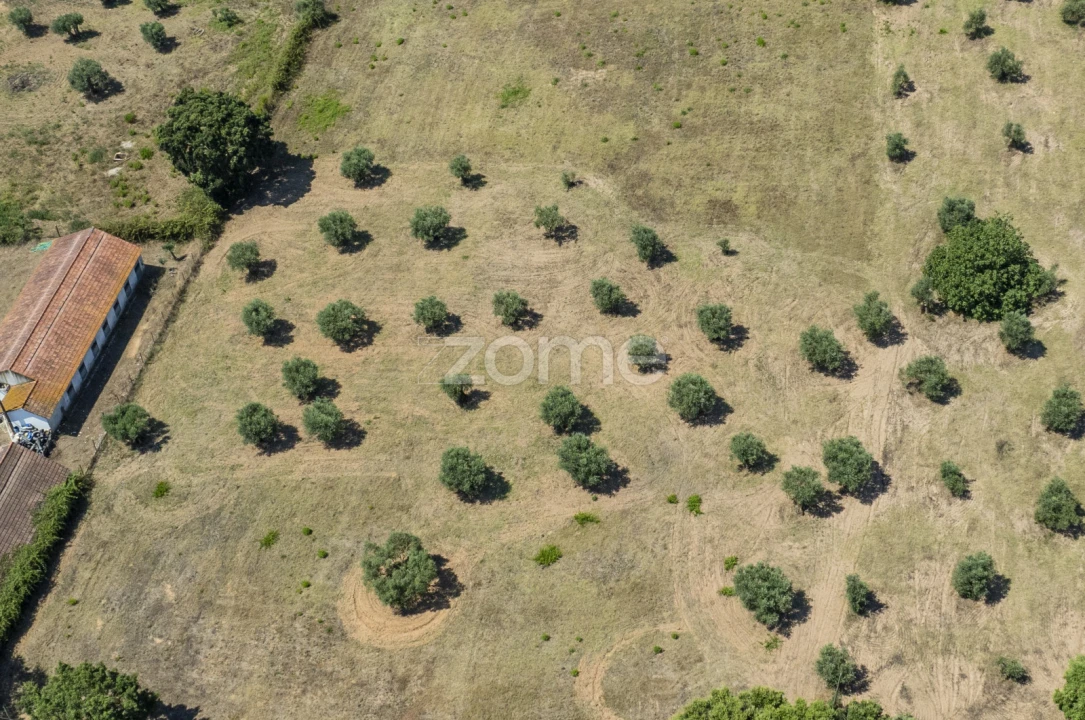 Terreno para Venda em Fraguas Foto 2