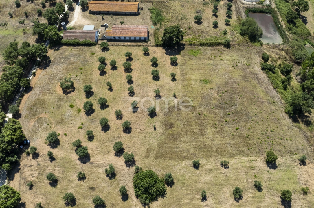 Terreno para Venda em Fraguas Foto 3
