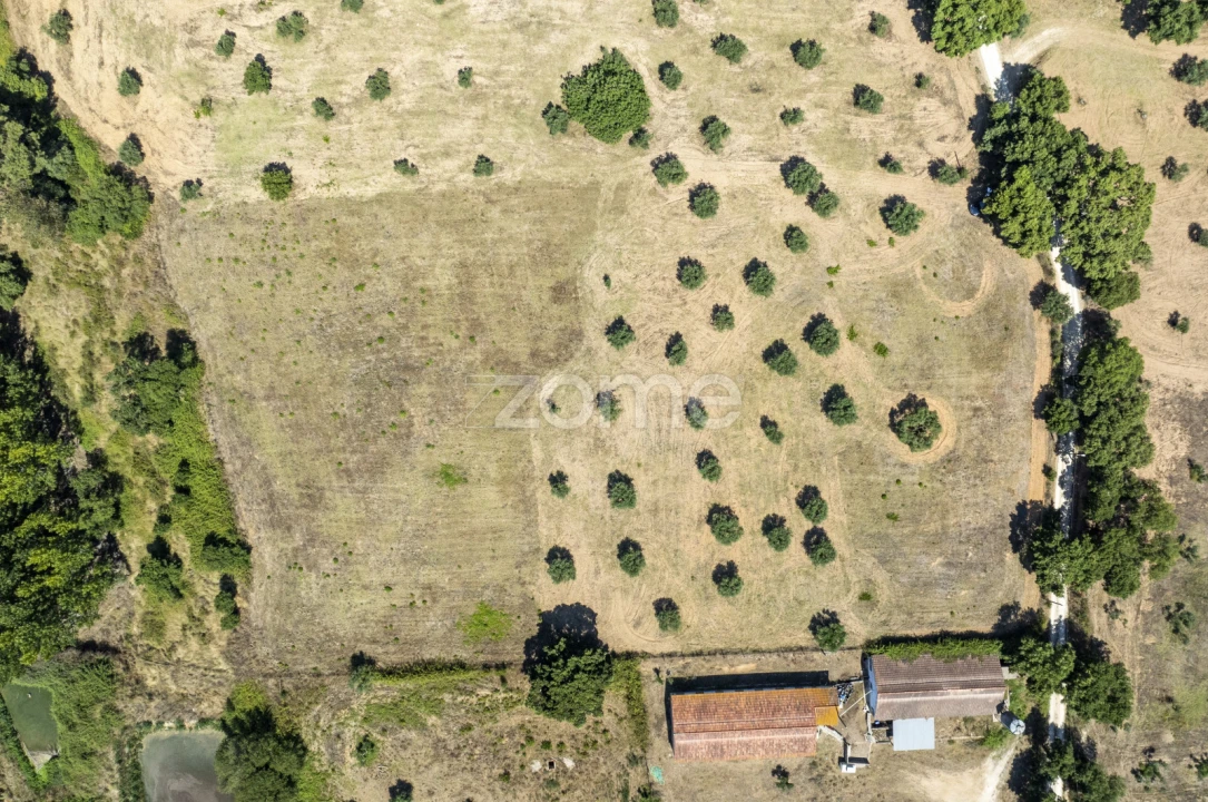 Terreno para Venda em Fraguas Foto 6