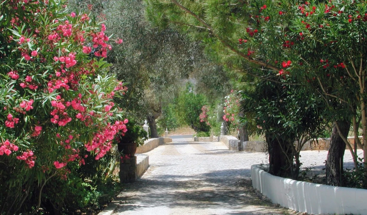 Moradia T12 para Venda em Conceição e Estoi Foto 19