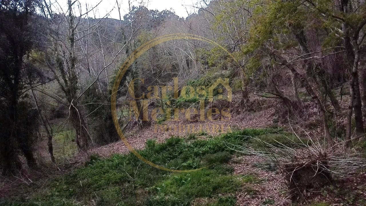 Terreno para Venda em Prado (São Miguel) Foto 2