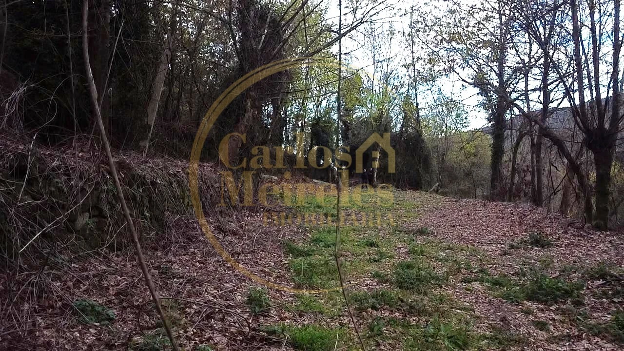 Terreno para Venda em Prado (São Miguel) Foto 3