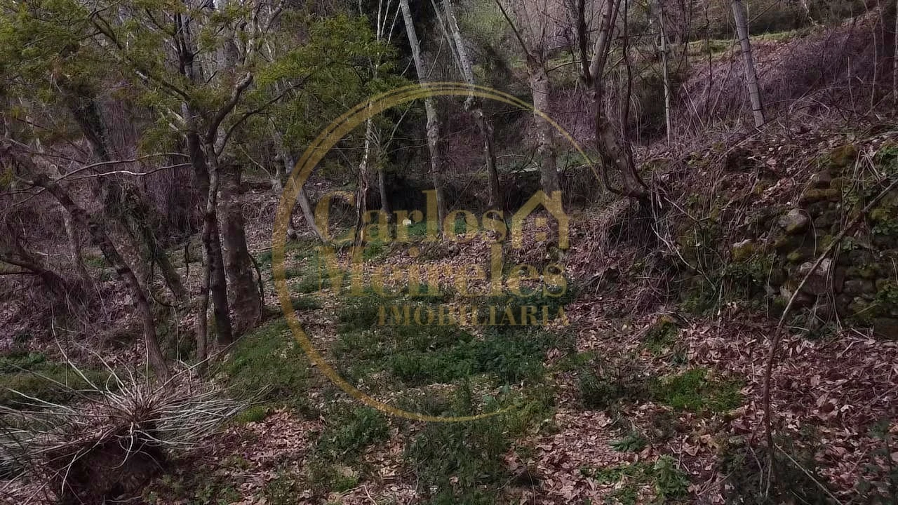 Terreno para Venda em Prado (São Miguel) Foto 7