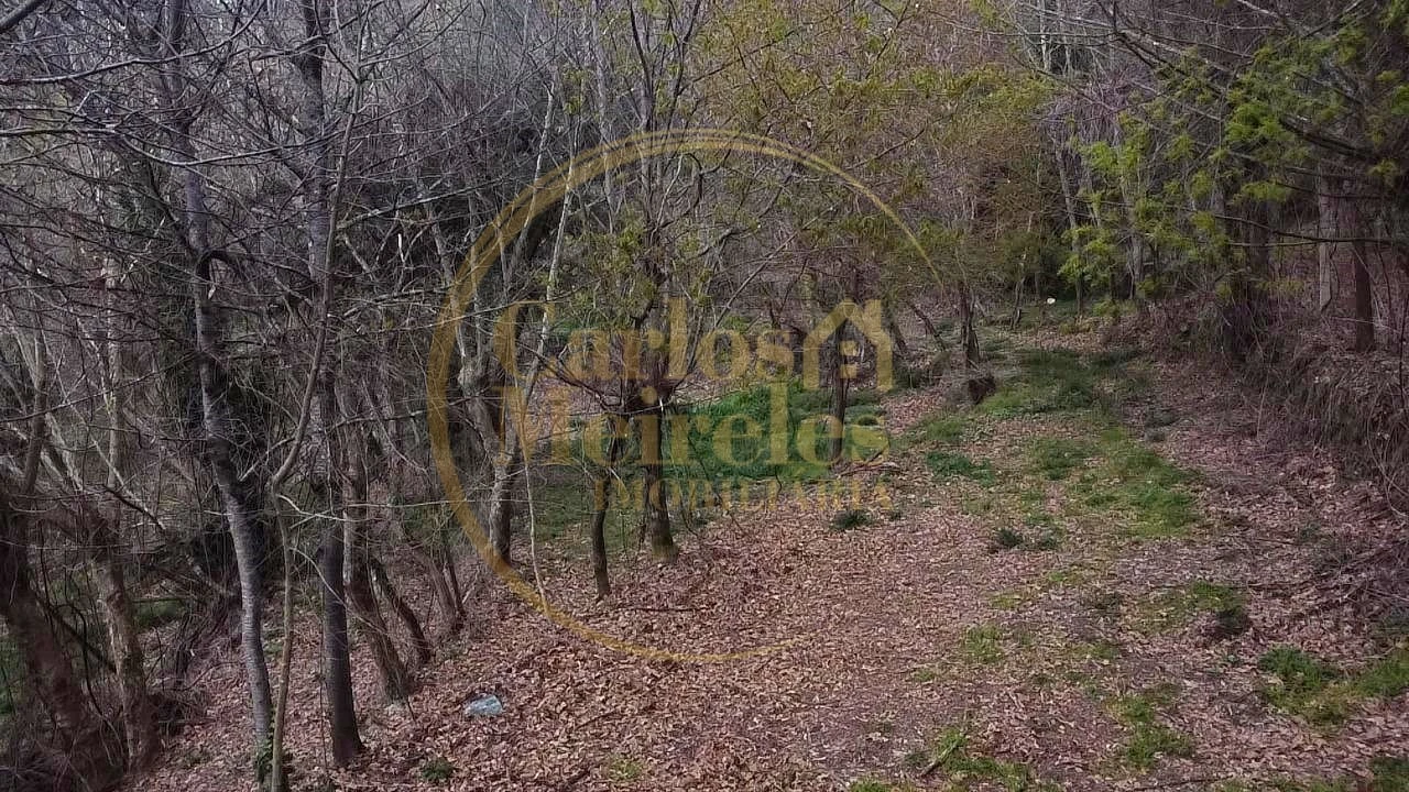 Terreno para Venda em Prado (São Miguel) Foto 8