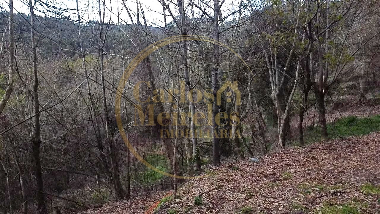 Terreno para Venda em Prado (São Miguel) Foto 9