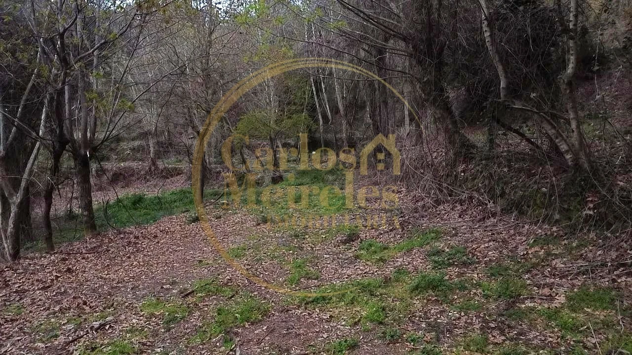 Terreno para Venda em Prado (São Miguel) Foto 10