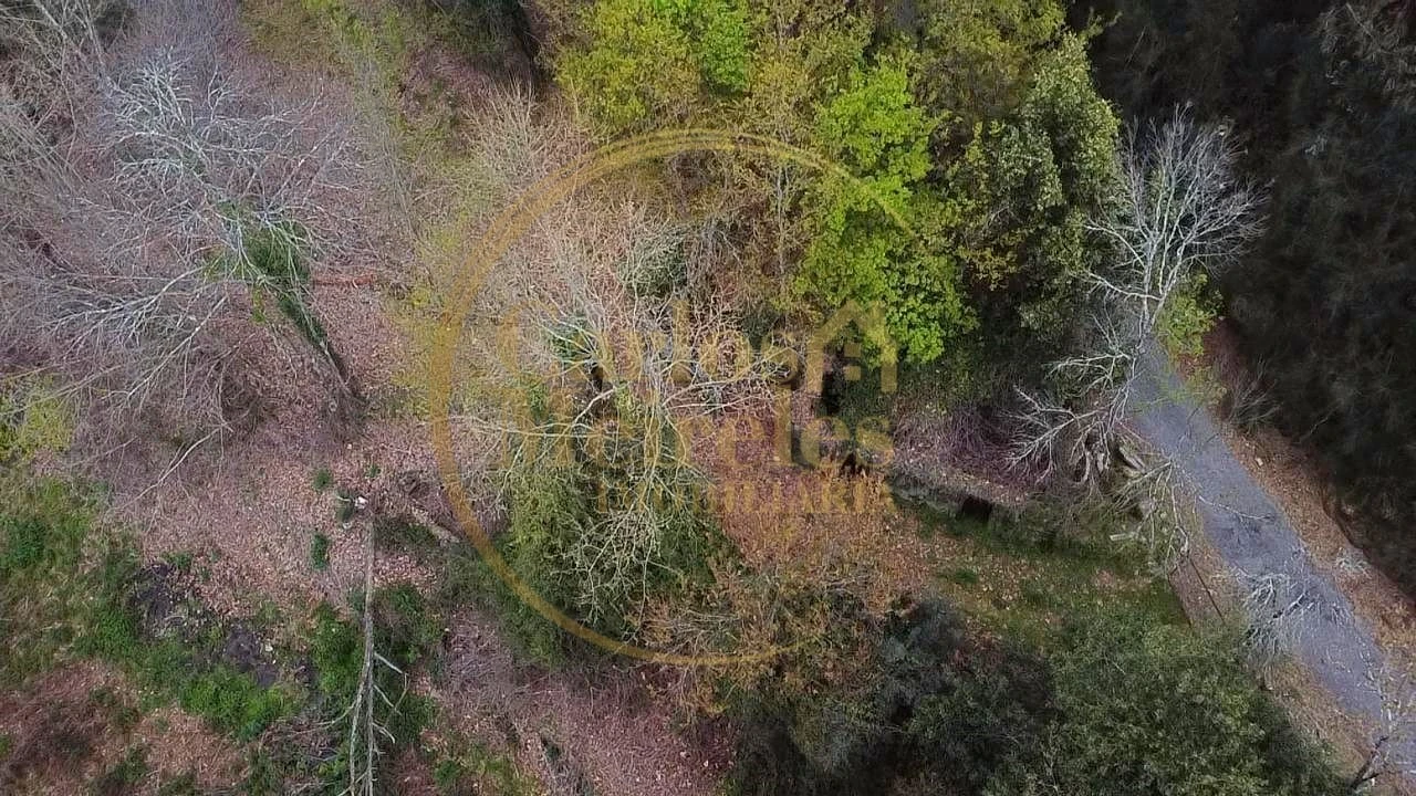 Terreno para Venda em Prado (São Miguel) Foto 12