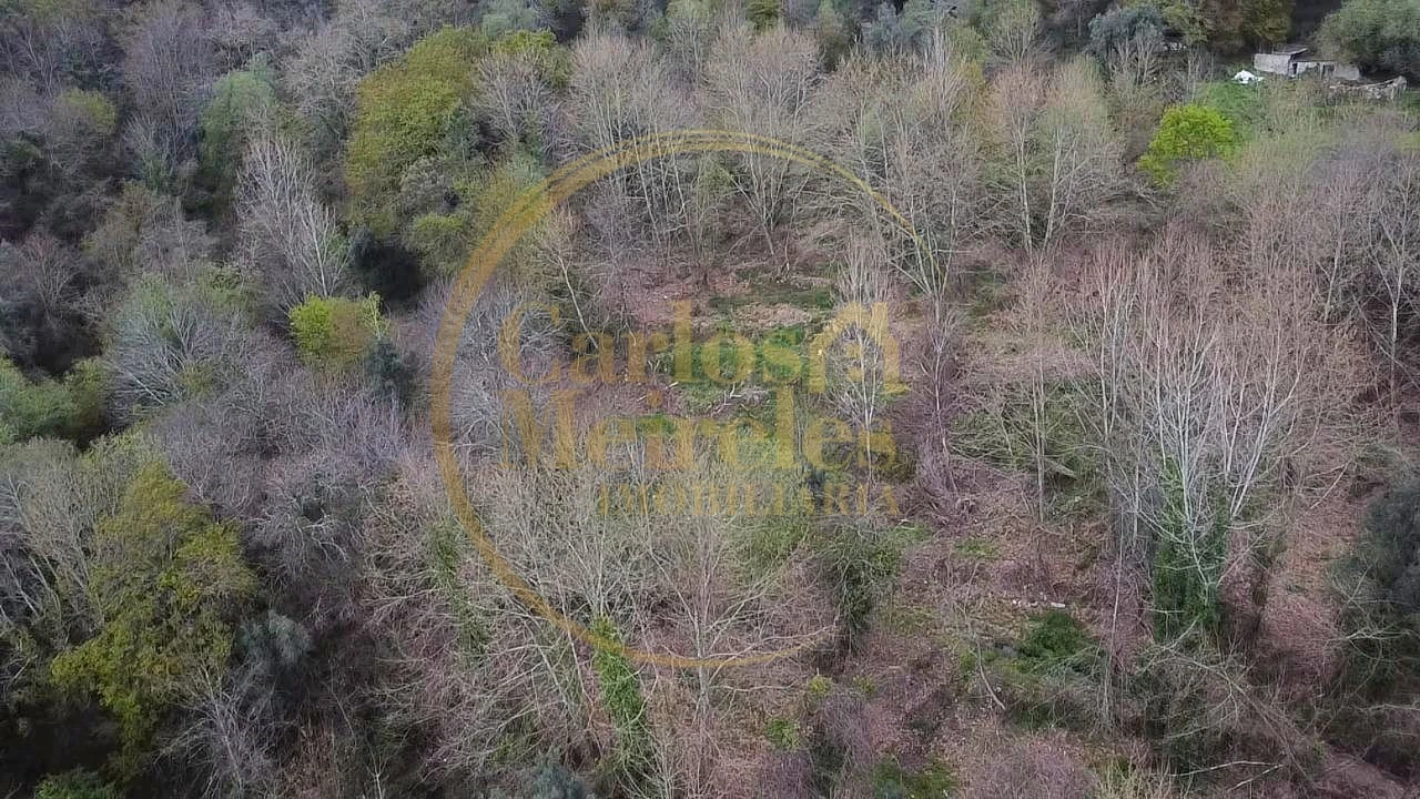 Terreno para Venda em Prado (São Miguel) Foto 15