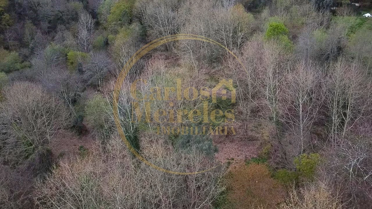 Terreno para Venda em Prado (São Miguel) Foto 16