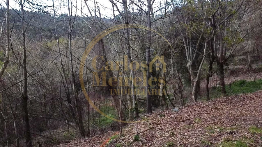 Terreno para Venda em Prado (São Miguel) Foto 9