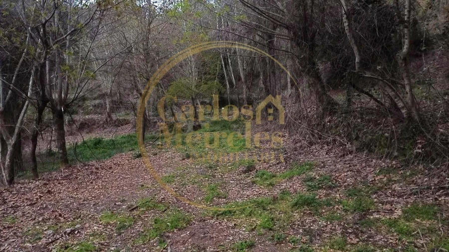 Terreno para Venda em Prado (São Miguel) Foto 10