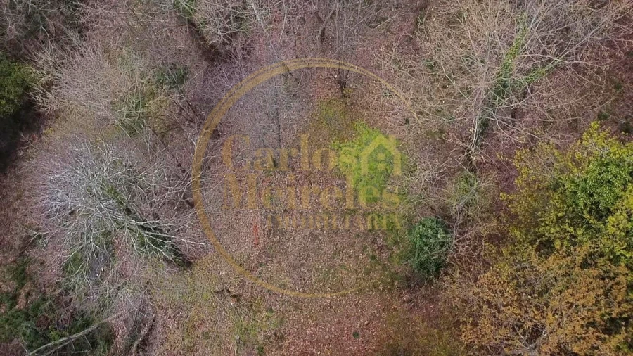 Terreno para Venda em Prado (São Miguel) Foto 11