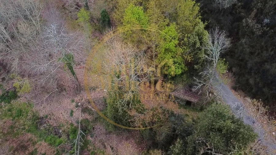 Terreno para Venda em Prado (São Miguel) Foto 14