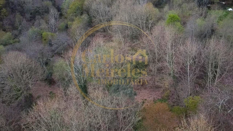 Terreno para Venda em Prado (São Miguel) Foto 16