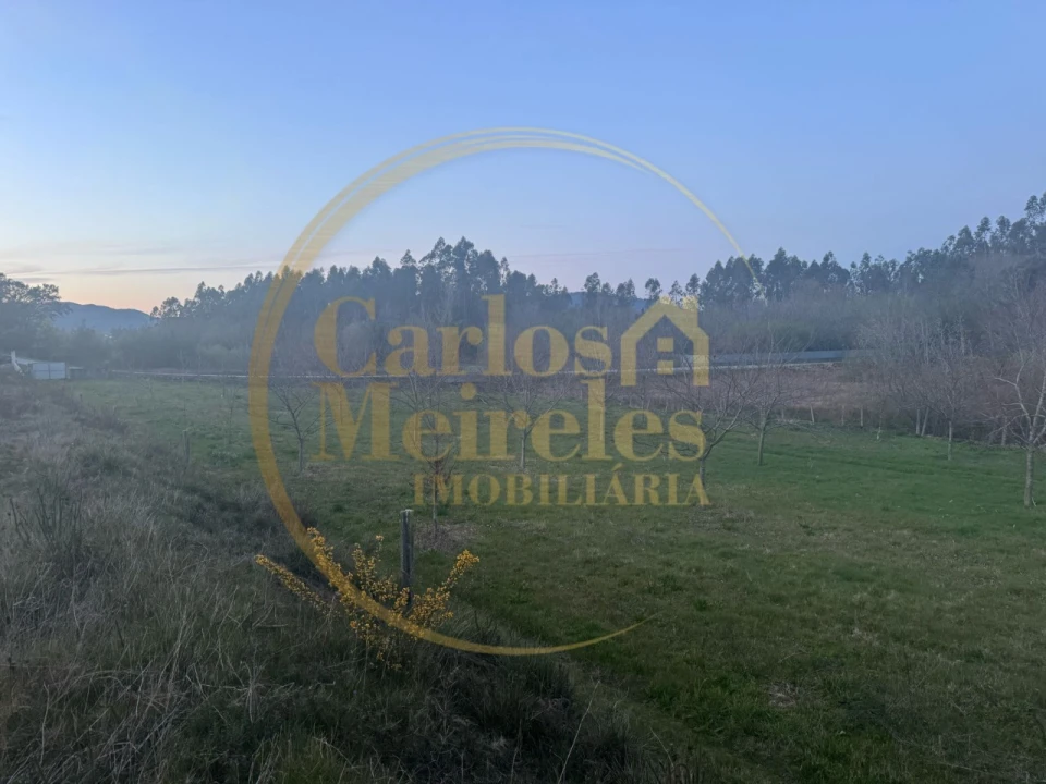 Terreno para Venda em Associação de Freguesias do Vale do Neiva Foto 3