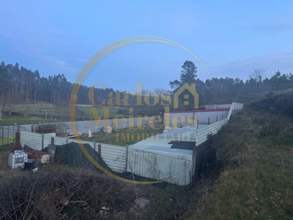 Terreno para Venda em Associação de Freguesias do Vale do Neiva Foto 9