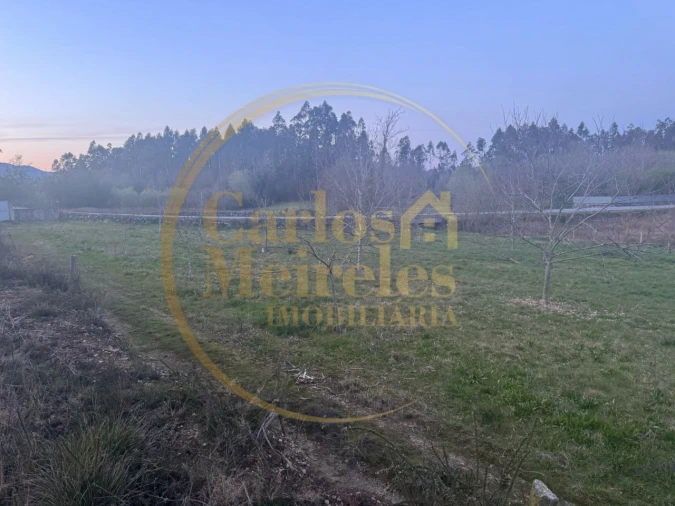 Terreno para Venda em Associação de Freguesias do Vale do Neiva Foto 5