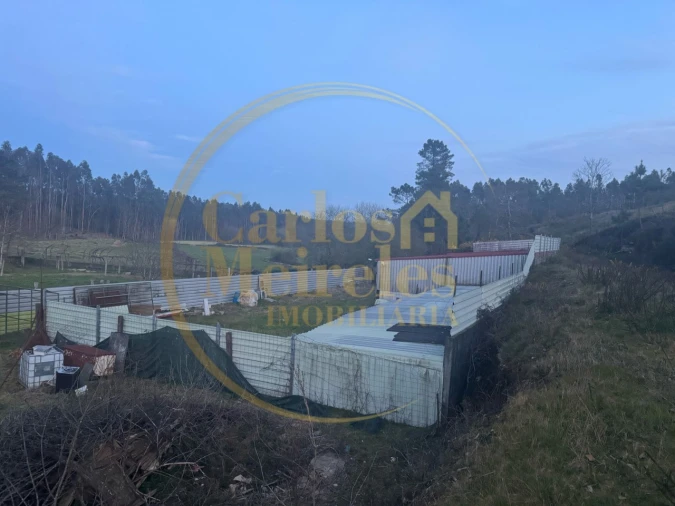 Terreno para Venda em Associação de Freguesias do Vale do Neiva Foto 9